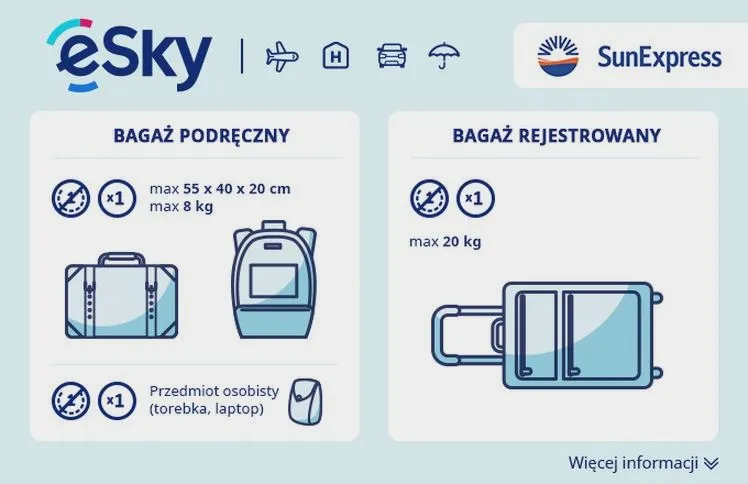 Co wolno umieścić w bagażu rejestrowanym? Przewodnik dla podróżnych