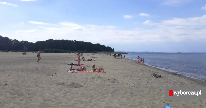 Jak dojechać na Westerplatte z Gdańska — praktyczny przewodnik