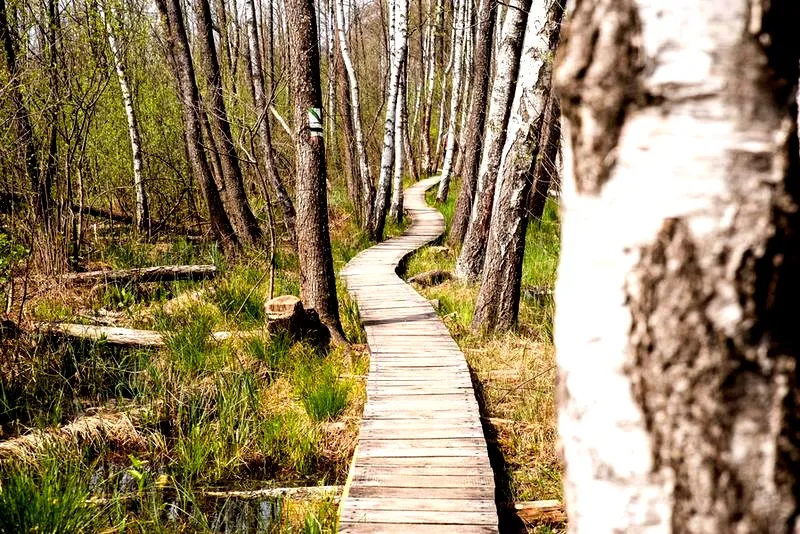Poleski Park Narodowy: Kiedy najlepiej zaplanować swoją wizytę?