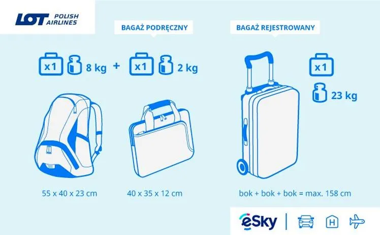 Bagaż główny w samolocie