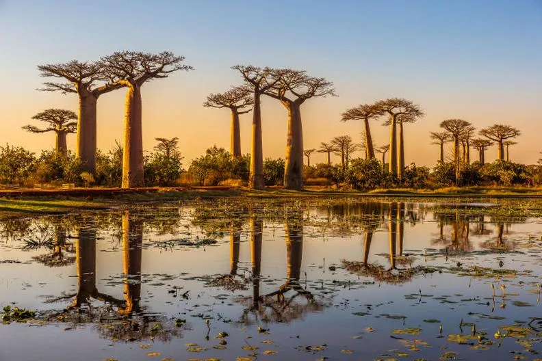 Czas lotu na Madagaskar