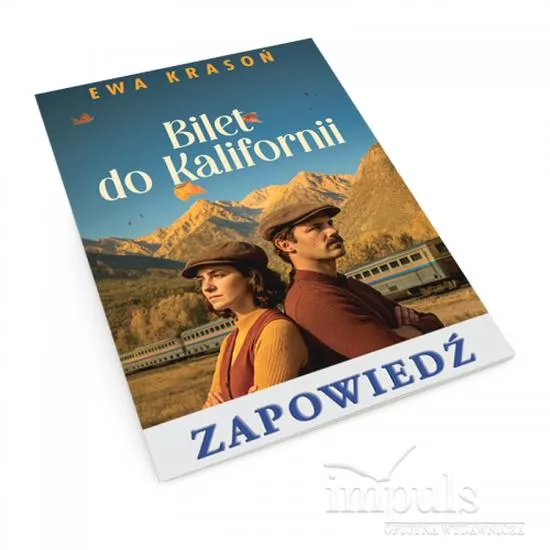 Koszty podróży