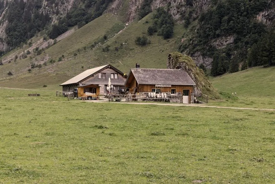 Limity celne nabiał