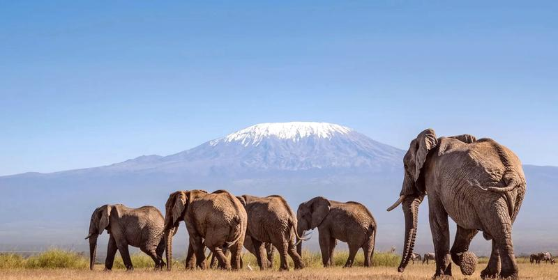 Lot do Tanzanii