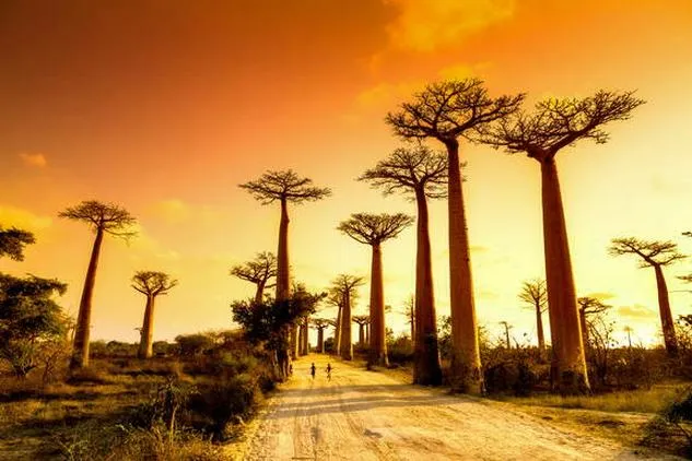 Lot z Poznania na Madagaskar