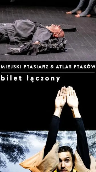 Obserwacja ptaków wiosną