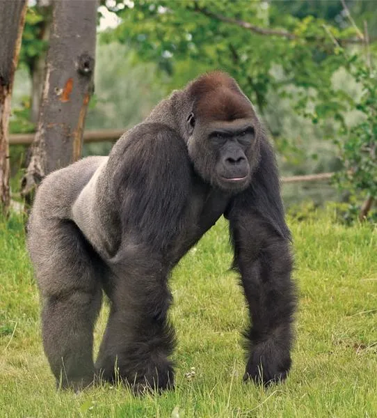 Opcje parkowania przy zoo